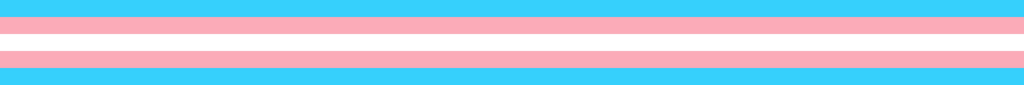 Trans Pride Banner