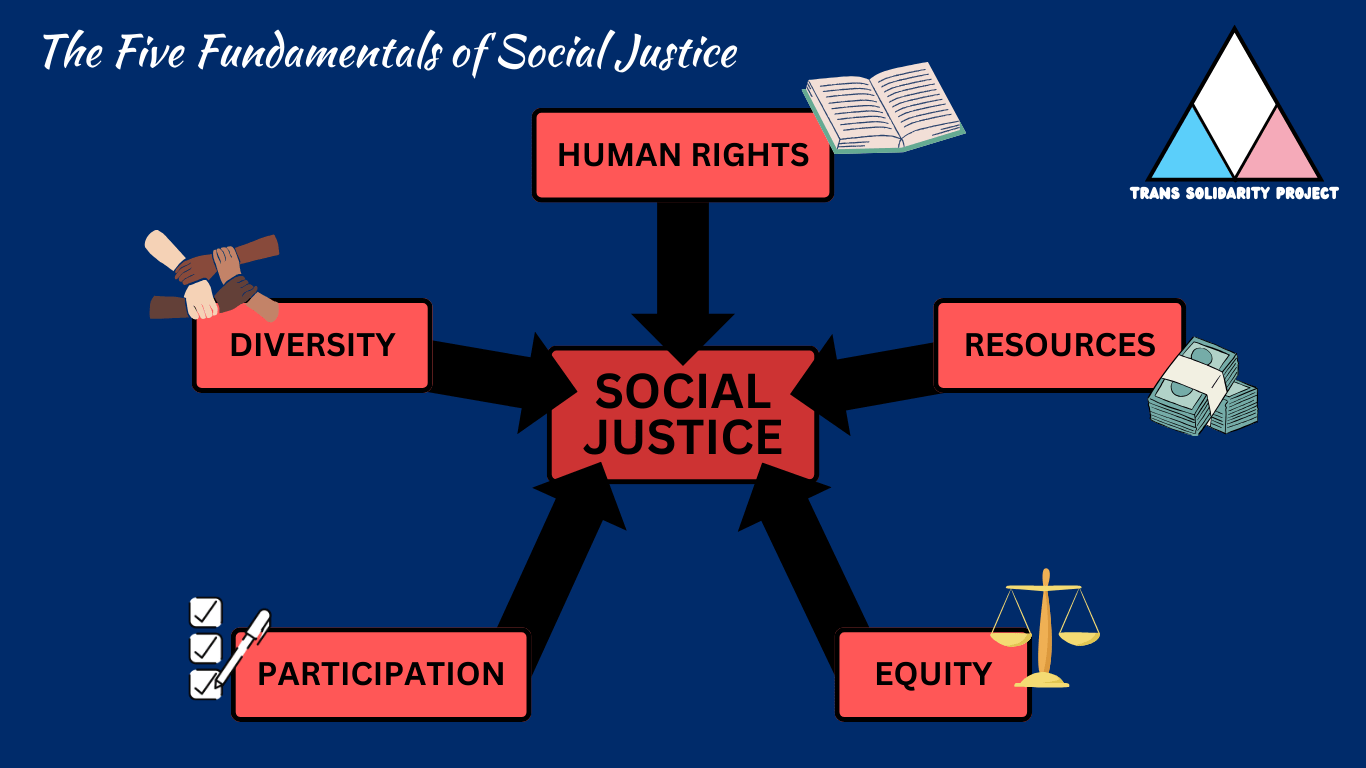 Diagram titled 'The Five Fundamentals of Social Justice,' showing how Human Rights, Resources, Equity, Participation, and Diversity all point toward and support the central concept of Social Justice, with the Trans Solidarity Project logo in the top right corner.