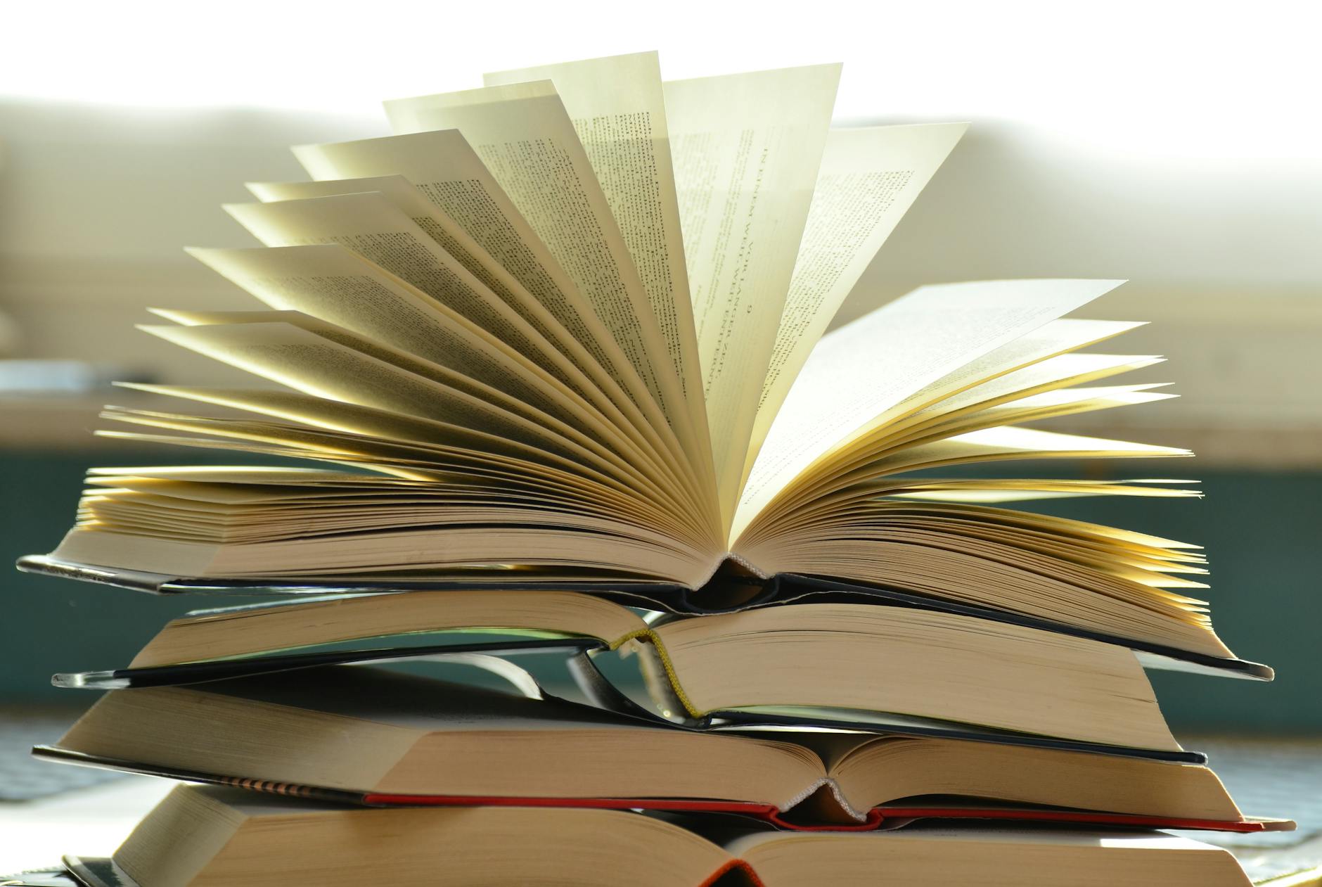 Beginner Reads: Anti-Fascism