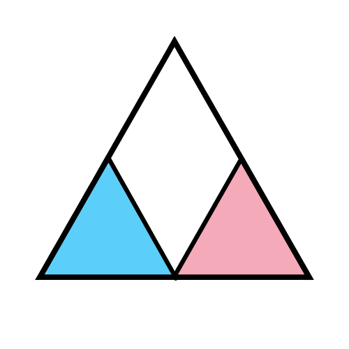 TSP Logo