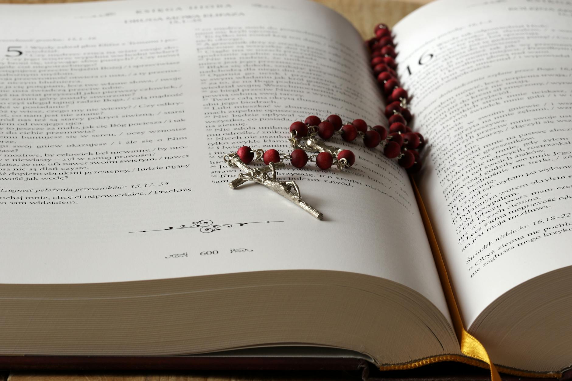 What does Pope Leo mean for American politics?