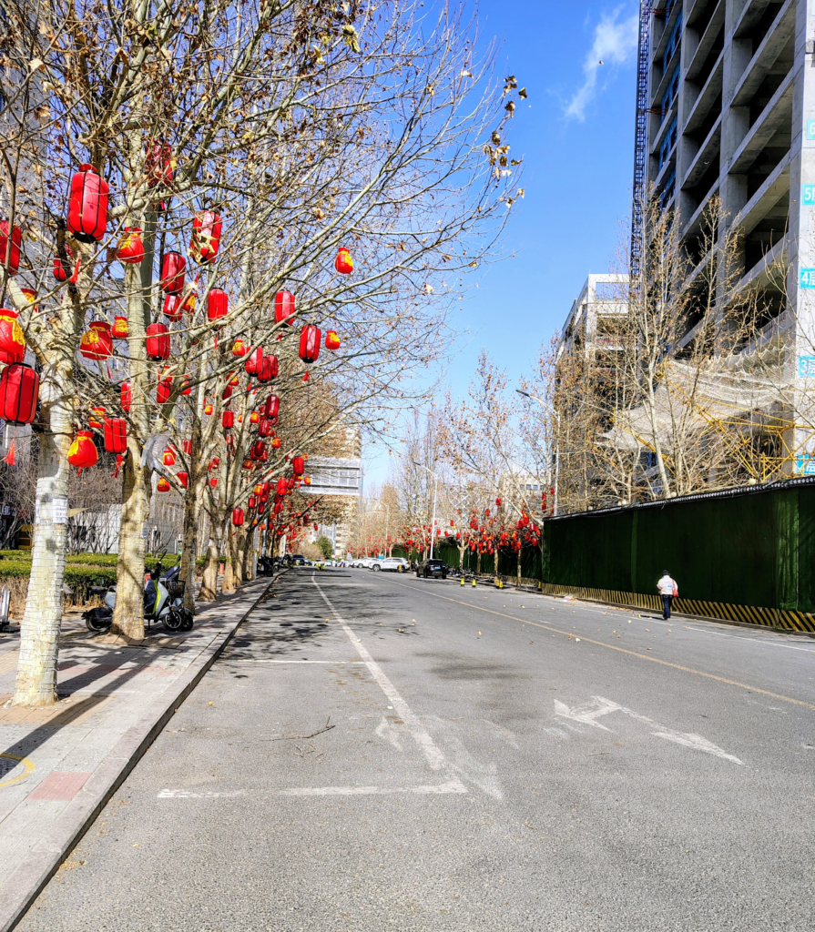 A wide city street in China during the day, featuring rows of bare winter trees decorated with numerous traditional red lanterns. The street is flanked by a modern high-rise building under construction on the right, showcasing the intersection of tradition and modernity. This scene captures the urban atmosphere documented by a transgender man on a solo travel journey through China.