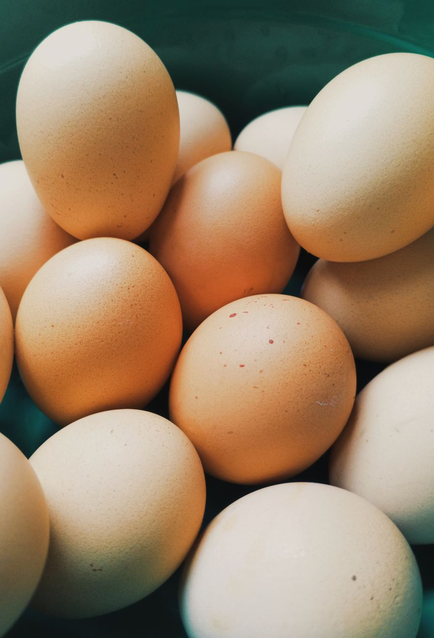 Cracking the Transgender Egg Meaning: A Rich Linguistic History